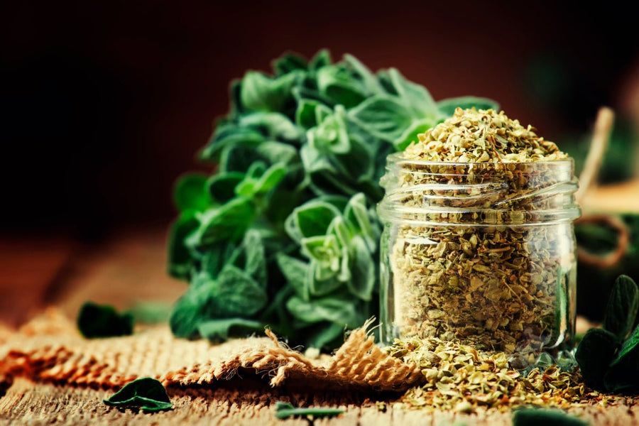 sizilianischer Oregano BIO 40g - Romano i Julietta